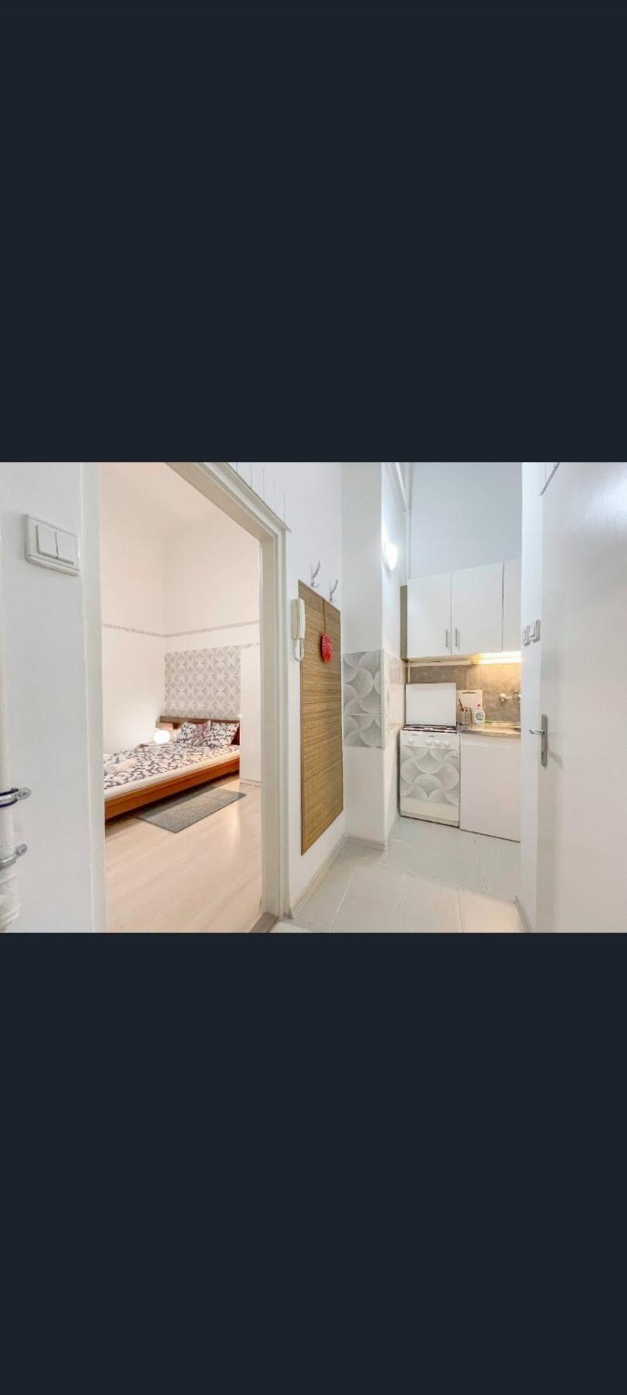 Free Parking Garage! Downtown Apartment Close To New York Cafe ブダペスト エクステリア 写真